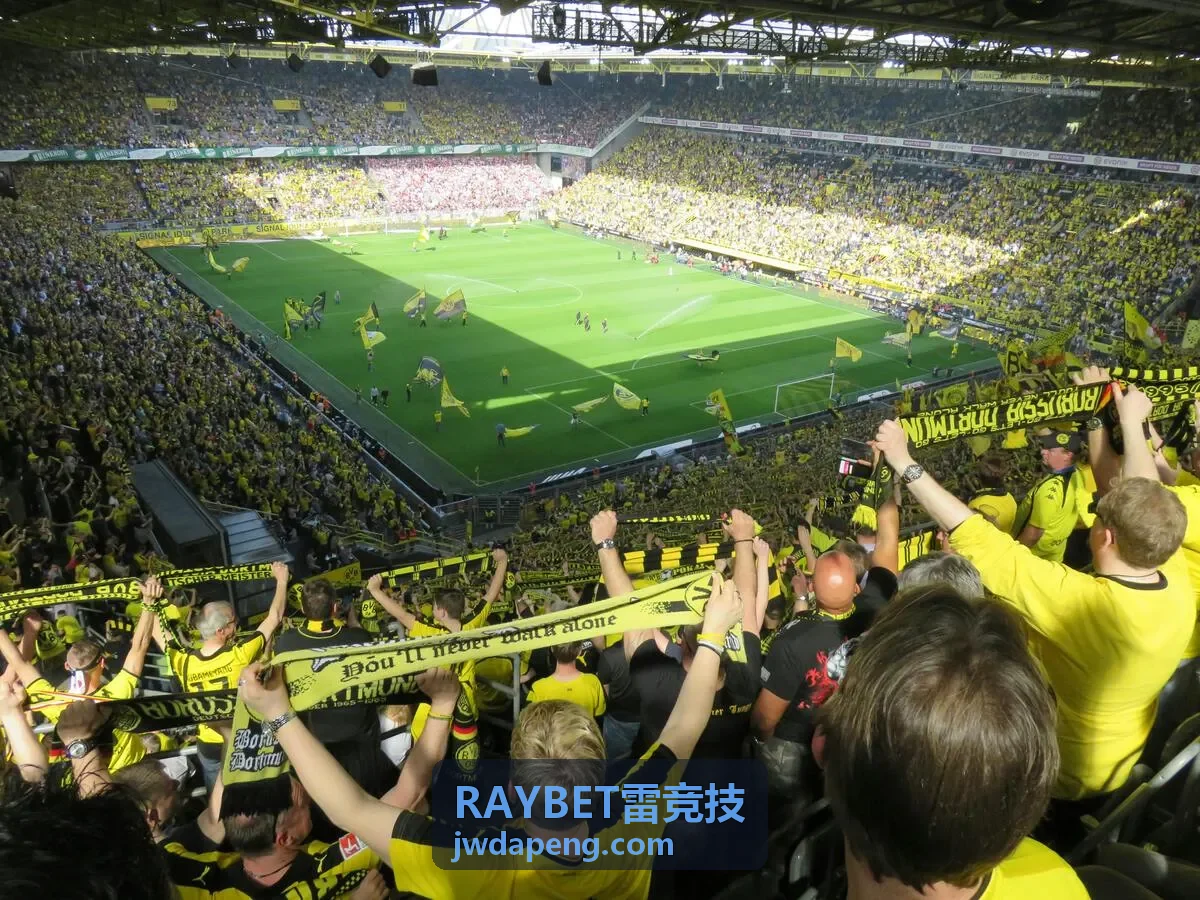 RAYBET雷竞技 全球赛事背景